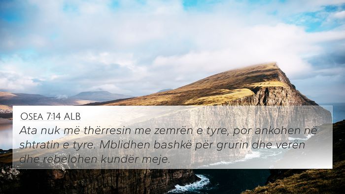 Osea 7:14 ALB 4K Wallpaper - Ata nuk më thërresin me zemrën e tyre, por - 4K Wallpaper Bible Verse