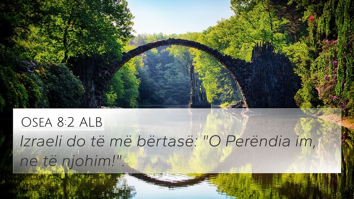 Osea 8:2 ALB Bible Verse Image