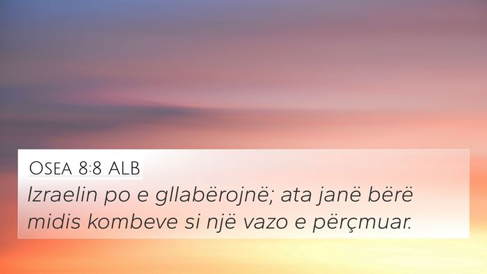Osea 8:8 ALB Bible Verse Image