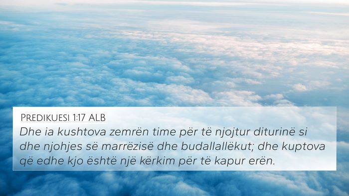 Predikuesi 1:17 ALB Bible Verse Image