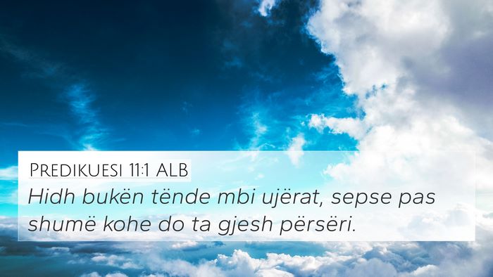 Predikuesi 11:1 ALB 4K Wallpaper - Hidh bukën tënde mbi ujërat, sepse pas shumë - 4K Wallpaper Bible Verse