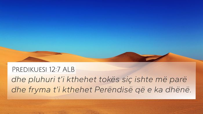 Predikuesi 12:7 ALB Bible Verse Image