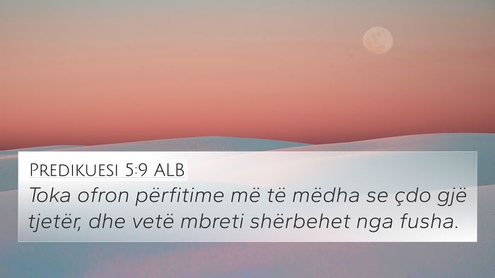Predikuesi 5:9 ALB 4K Wallpaper - Toka ofron përfitime më të mëdha se çdo gjë - 4K Wallpaper Bible Verse