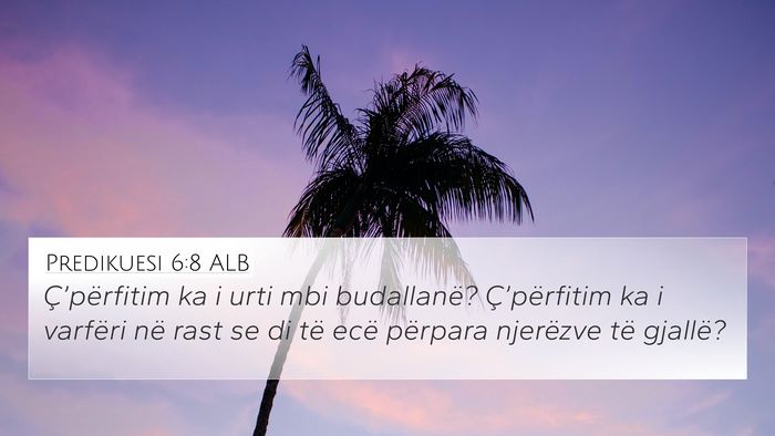 Predikuesi 6:8 ALB Bible Verse Image