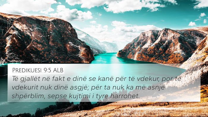 Predikuesi 9:5 ALB Bible Verse Image