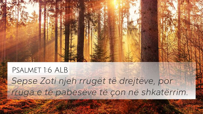 Psalmet 1:6 ALB Bible Verse Image