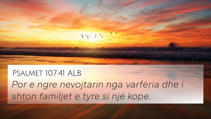 Psalmet 107:41 ALB Bible Verse Image