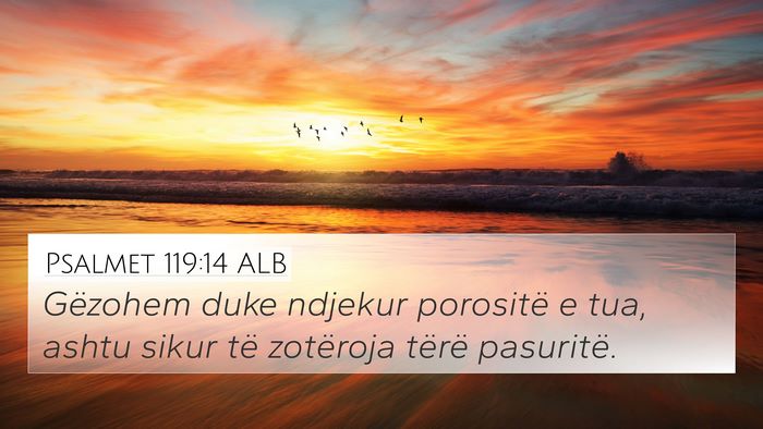 Psalmet 119:14 ALB Bible Verse Image