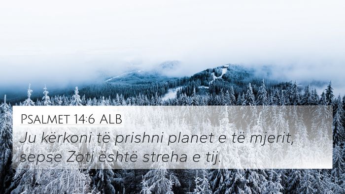 Psalmet 14:6 ALB Bible Verse Image