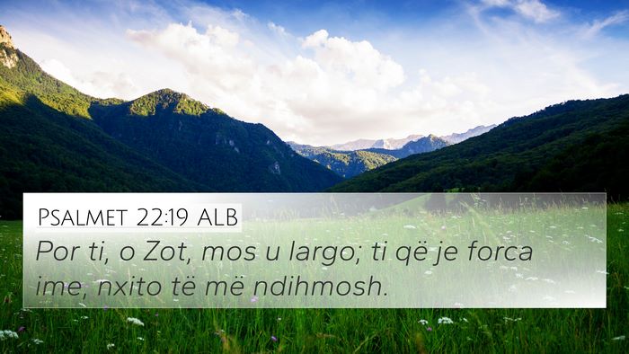 Psalmet 22:19 ALB Bible Verse Image