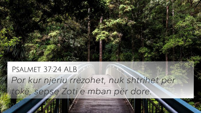 Psalmet 37:24 ALB Bible Verse Image