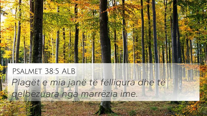 Psalmet 38:5 ALB 4K Wallpaper - Plagët e mia janë të fëlliqura dhe të - 4K Wallpaper Bible Verse