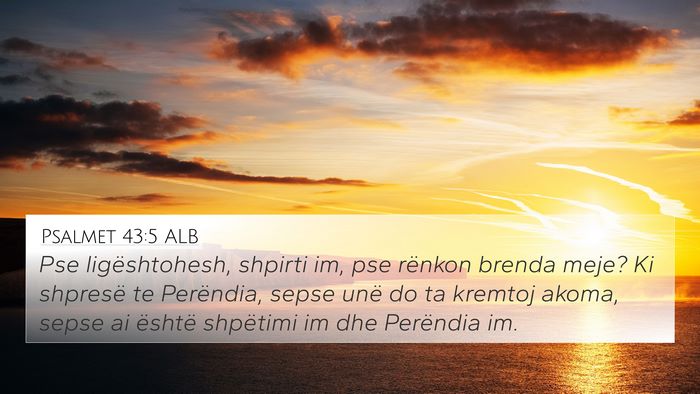 Psalmet 43:5 ALB Bible Verse Image