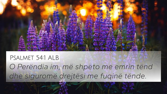 Psalmet 54:1 ALB Bible Verse Image