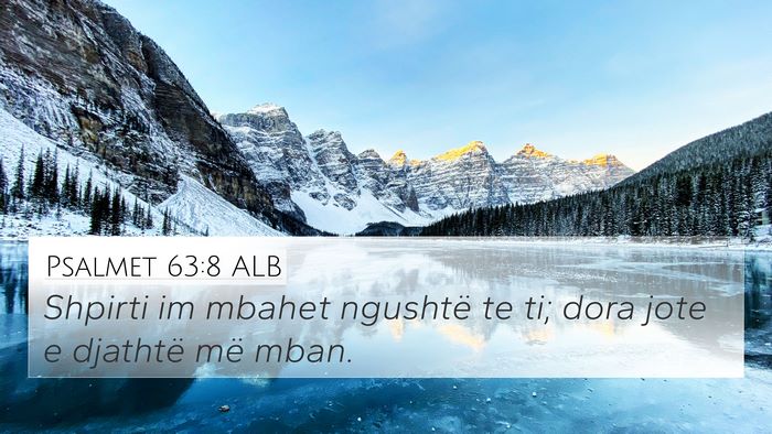 Psalmet 63:8 ALB Bible Verse Image