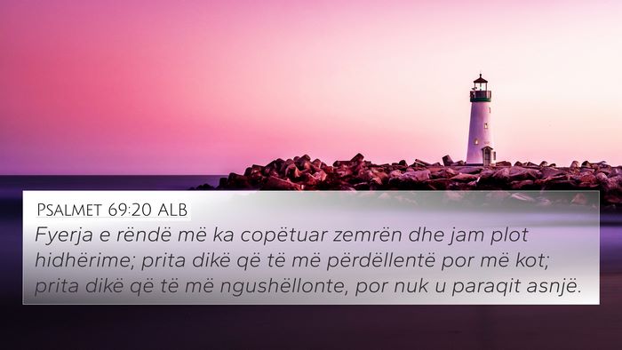 Psalmet 69:20 ALB Bible Verse Image