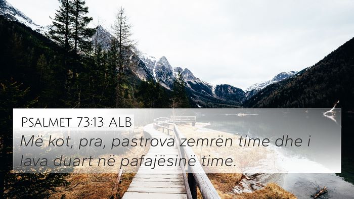 Psalmet 73:13 ALB Bible Verse Image