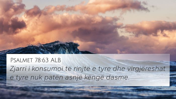Psalmet 78:63 ALB Bible Verse Image