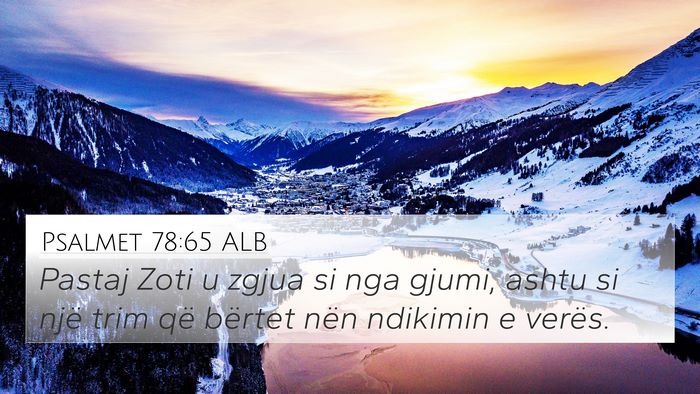 Psalmet 78:65 ALB Bible Verse Image