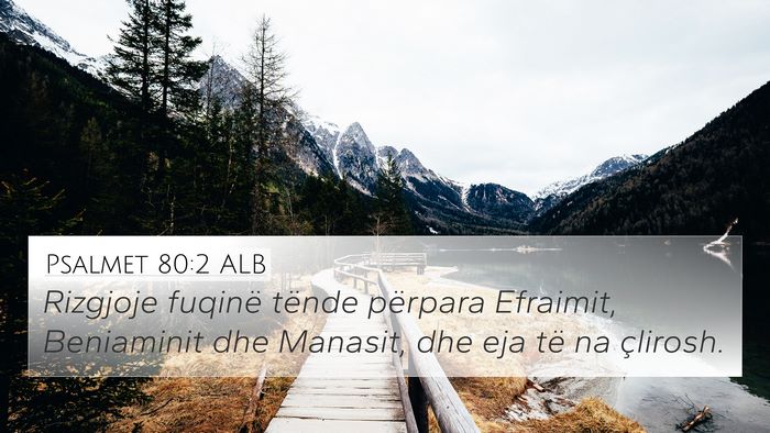 Psalmet 80:2 ALB Bible Verse Image