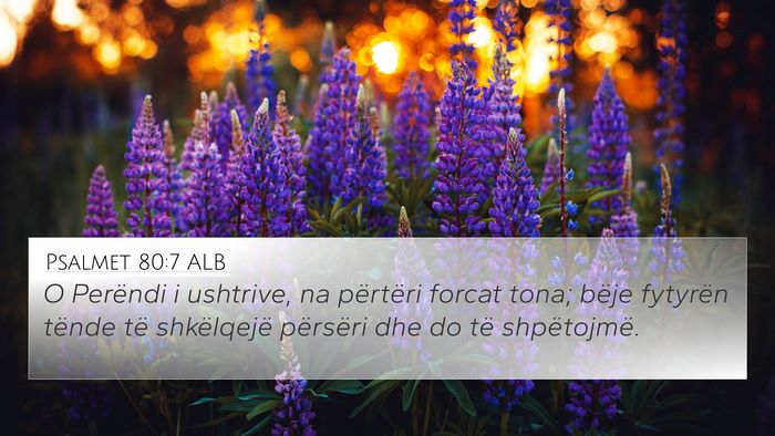 Psalmet 80:7 ALB Bible Verse Image