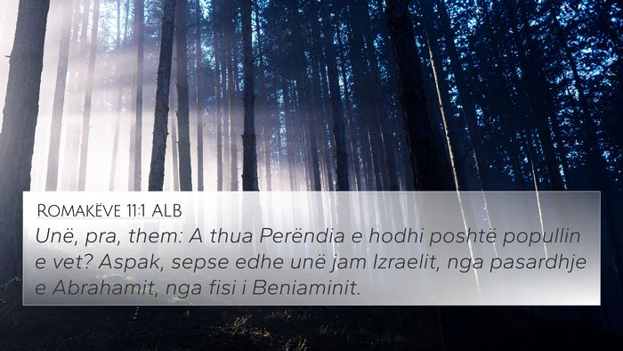 Romakëve 11:1 ALB Bible Verse Image