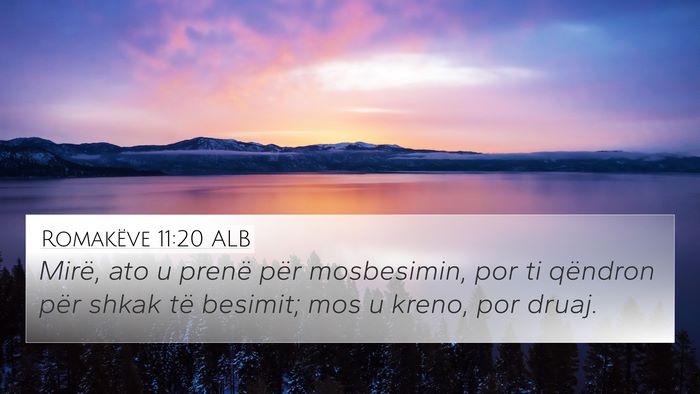Romakëve 11:20 ALB Bible Verse Image