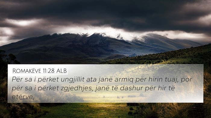 Romakëve 11:28 ALB Bible Verse Image