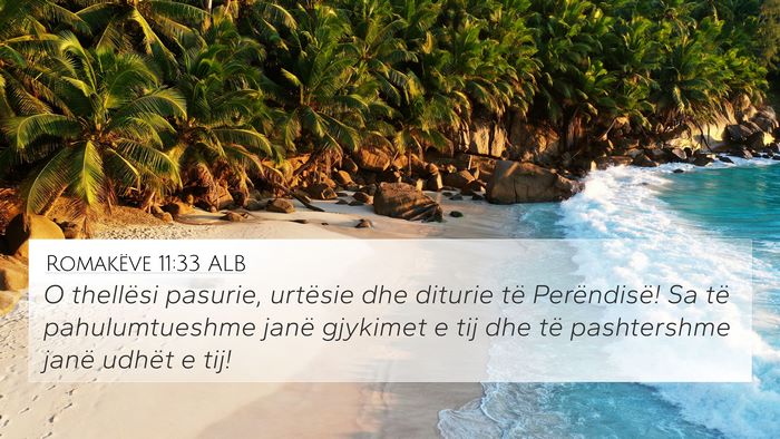 Romakëve 11:33 ALB Bible Verse Image