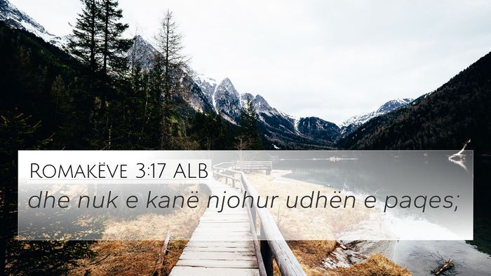 Romakëve 3:17 ALB Bible Verse Image