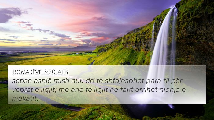 Romakëve 3:20 ALB Bible Verse Image