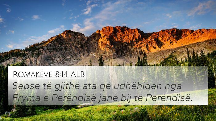 Romakëve 8:14 ALB Bible Verse Image