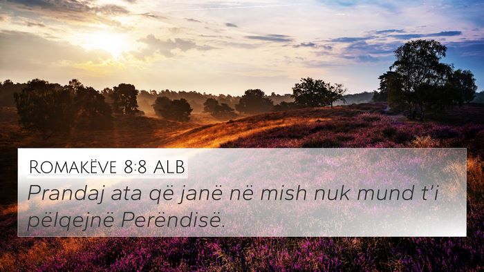 Romakëve 8:8 ALB Bible Verse Image