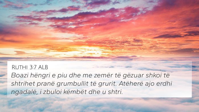 Ruthi 3:7 ALB Bible Verse Image