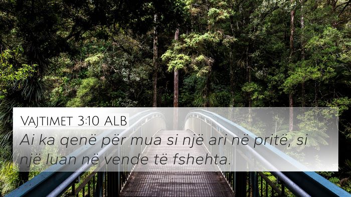 Vajtimet 3:10 ALB Bible Verse Image