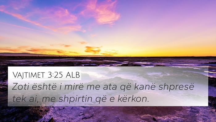 Vajtimet 3:25 ALB Bible Verse Image