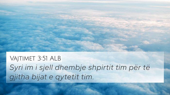 Vajtimet 3:51 ALB Bible Verse Image