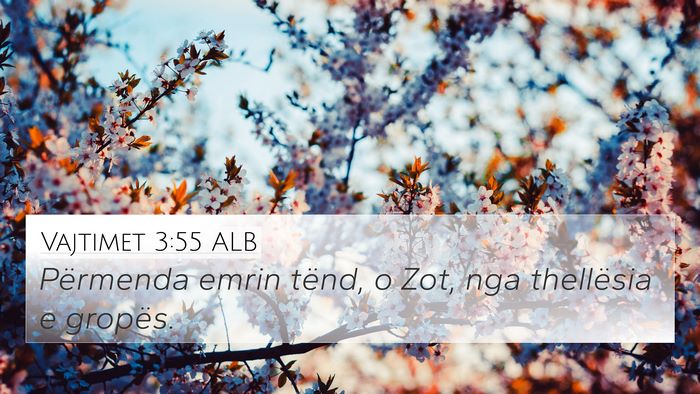 Vajtimet 3:55 ALB Bible Verse Image