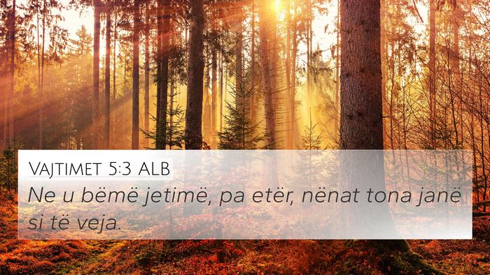 Vajtimet 5:3 ALB Bible Verse Image