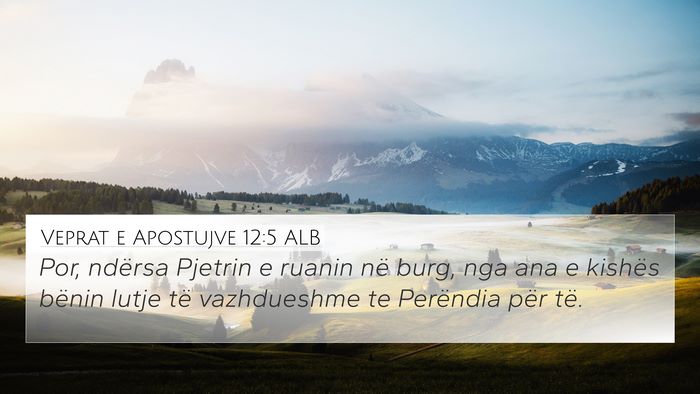 Veprat e Apostujve 12:5 ALB Bible Verse Image