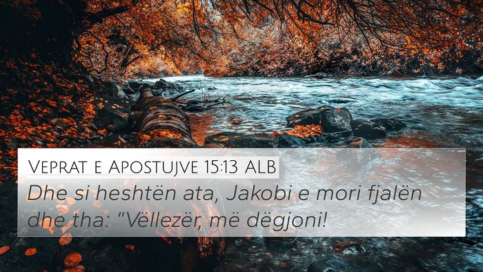 Veprat e Apostujve 15:13 ALB Bible Verse Image