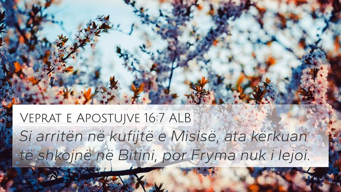 Veprat e Apostujve 16:7 ALB Bible Verse Image