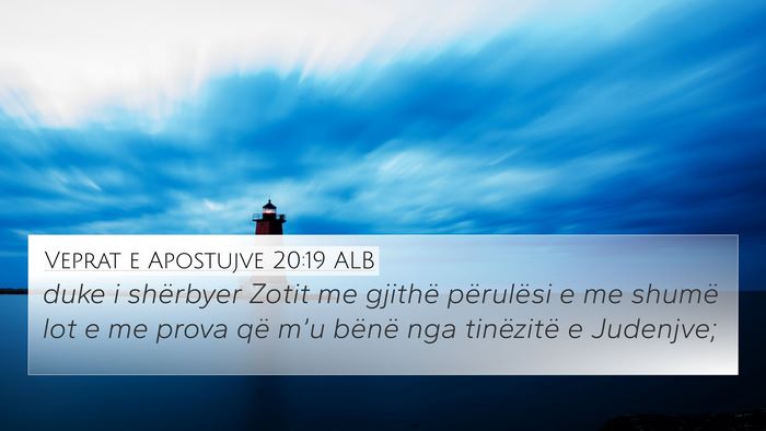 Veprat e Apostujve 20:19 ALB Bible Verse Image
