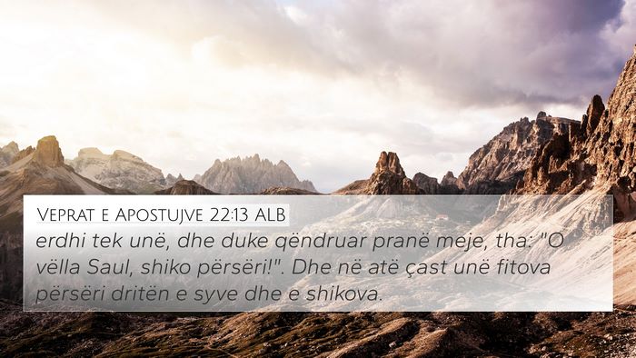 Veprat e Apostujve 22:13 ALB 4K Wallpaper - erdhi tek unë, dhe duke qëndruar pranë meje, - 4K Wallpaper Bible Verse