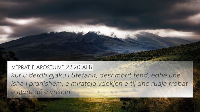 Veprat e Apostujve 22:20 ALB Bible Verse Image