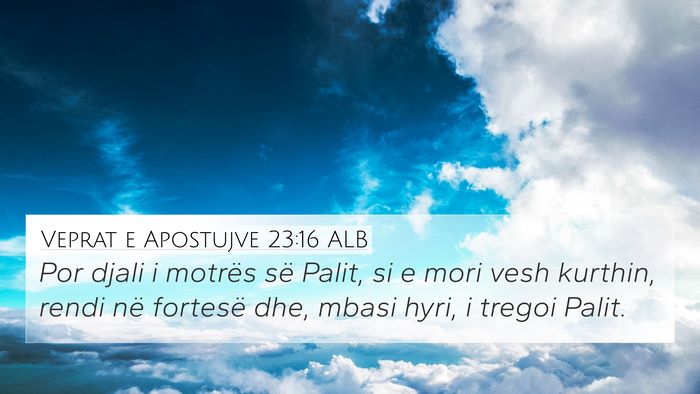 Veprat e Apostujve 23:16 ALB Bible Verse Image