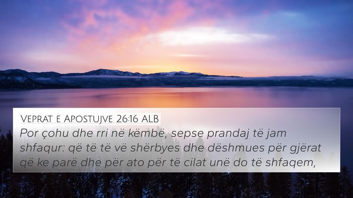 Veprat e Apostujve 26:16 ALB Bible Verse Image