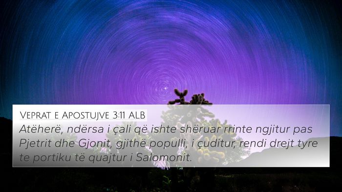 Veprat e Apostujve 3:11 ALB 4K Wallpaper - Atëherë, ndërsa i çali që ishte shëruar - 4K Wallpaper Bible Verse