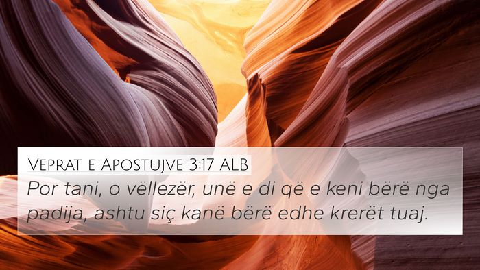 Veprat e Apostujve 3:17 ALB Bible Verse Image