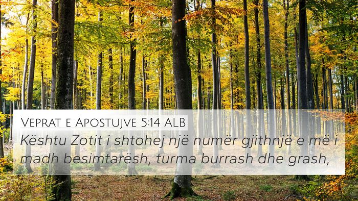 Veprat e Apostujve 5:14 ALB Bible Verse Image